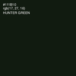 #111B10 - Hunter Green Color Image
